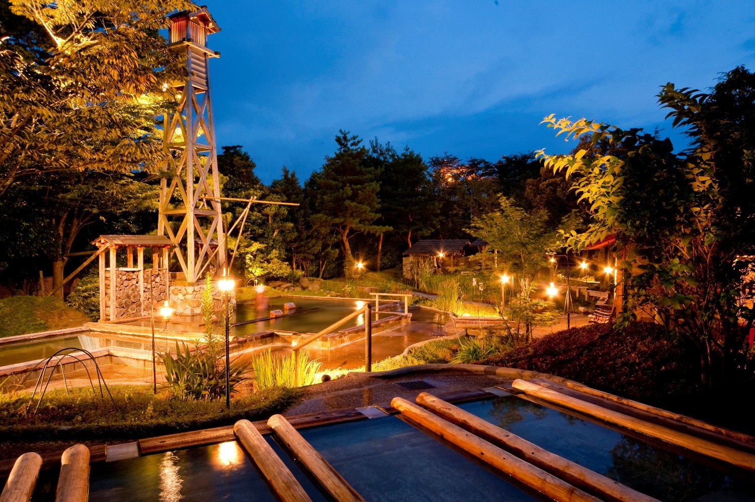 たがわ龍泉閣田んぼの湯（夜）