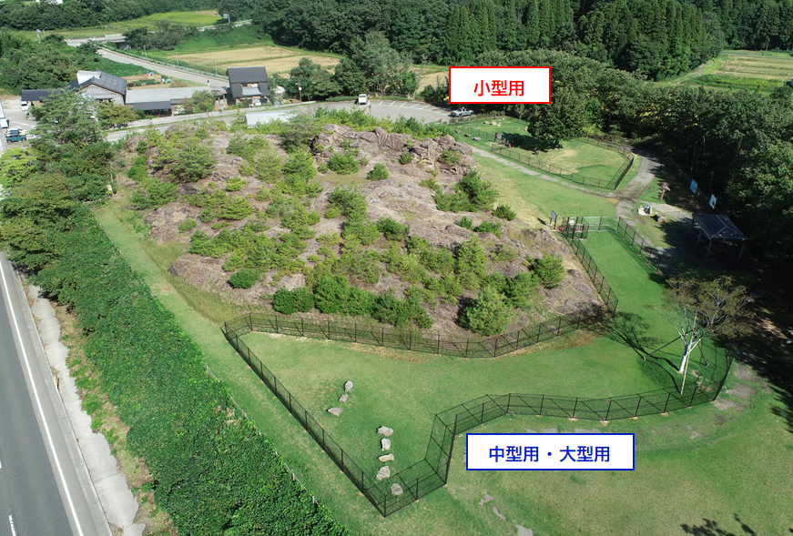 ドッグランエリア