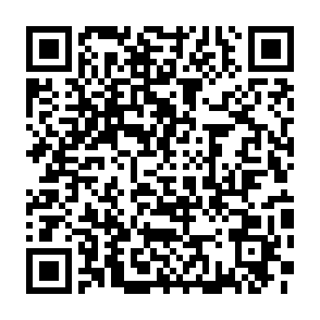 ふるさとチョイス