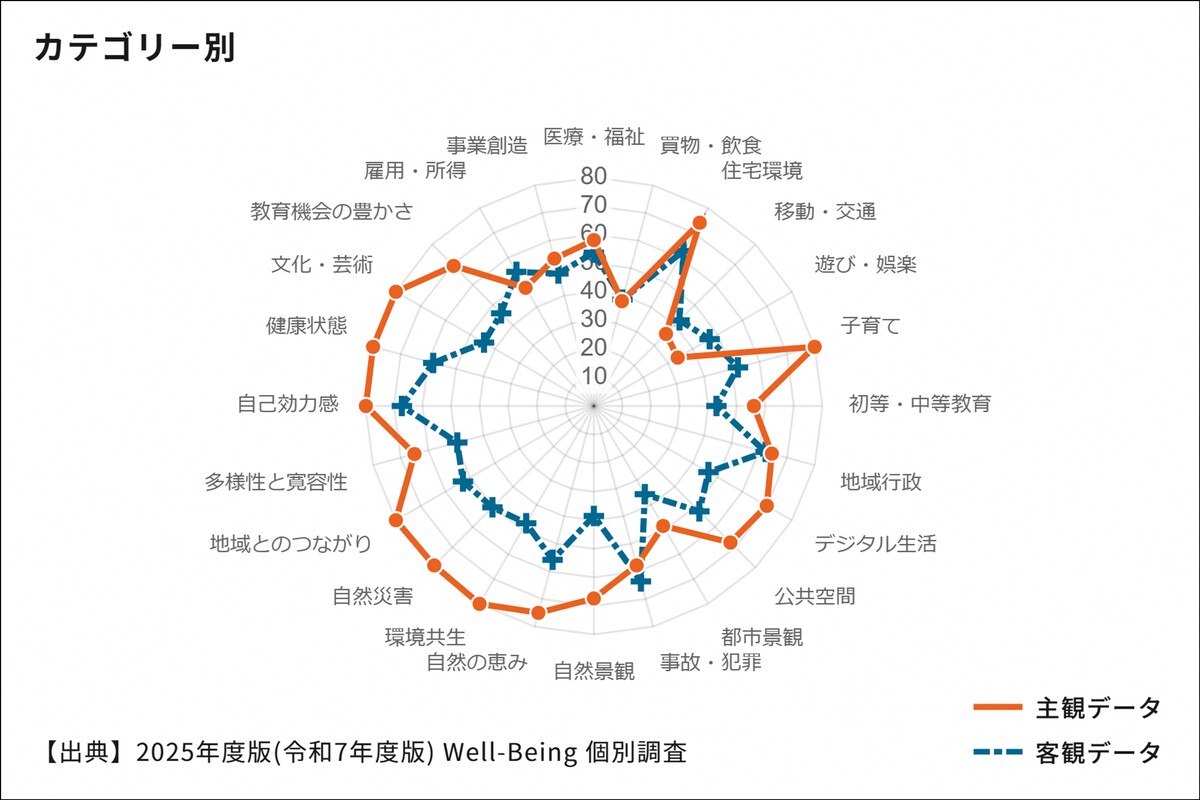 Well-being調査のカテゴリー別
