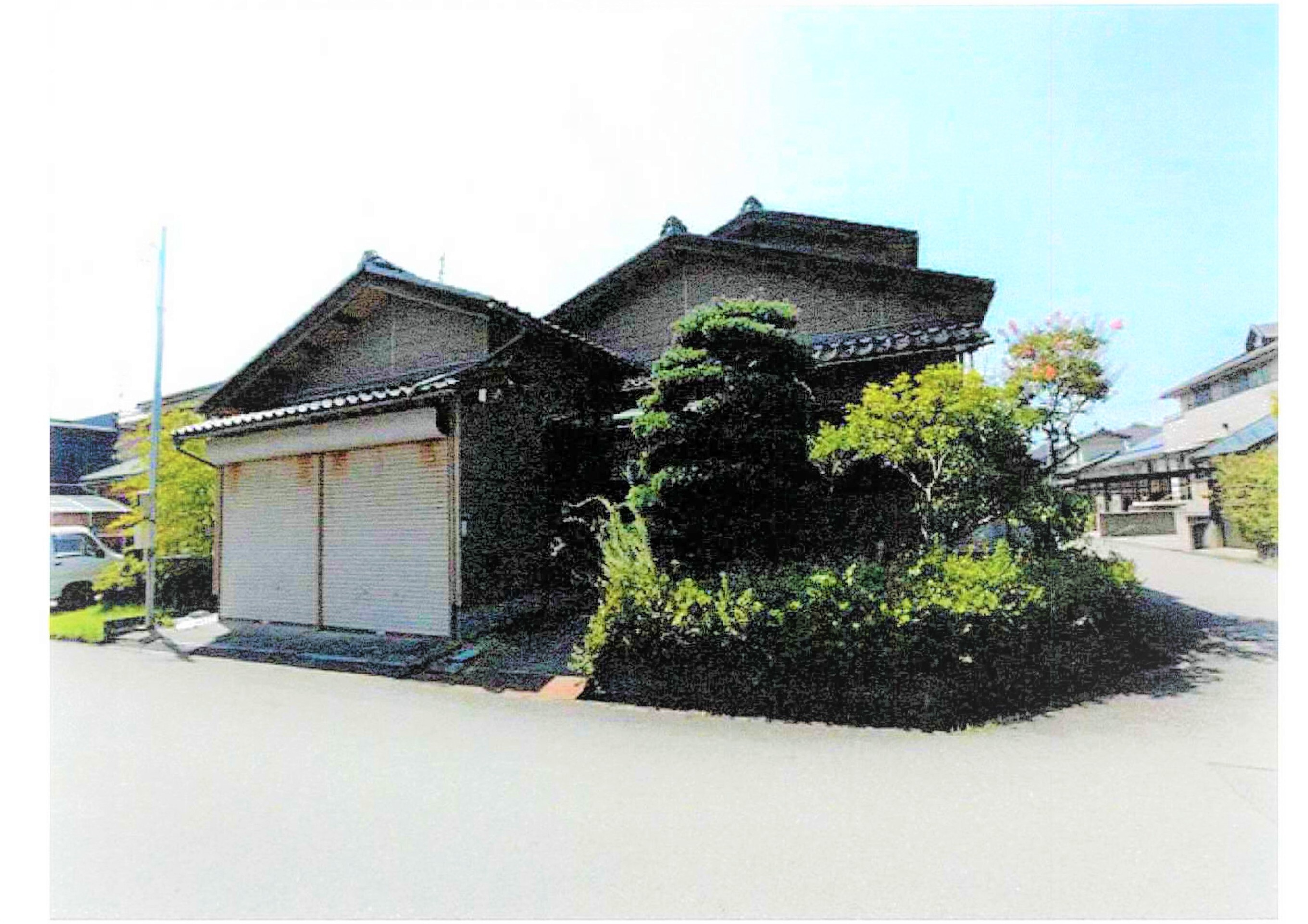 169.jpg