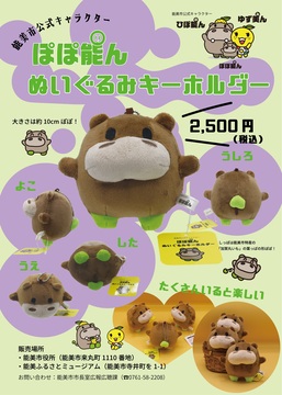 チラシ
