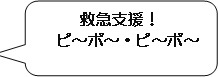 救急支援! ピーポー・ピーポー