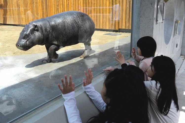 いしかわ動物園（1）画像