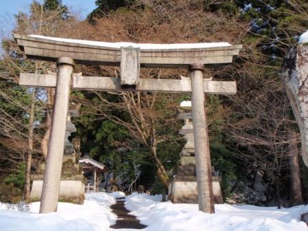 坪野八幡神社社叢