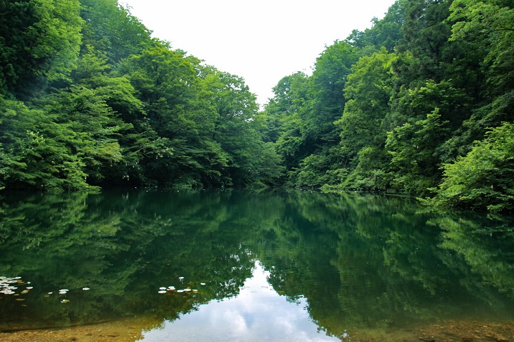 蟹淵の全景