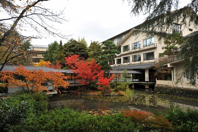 日本庭園の秋の様子