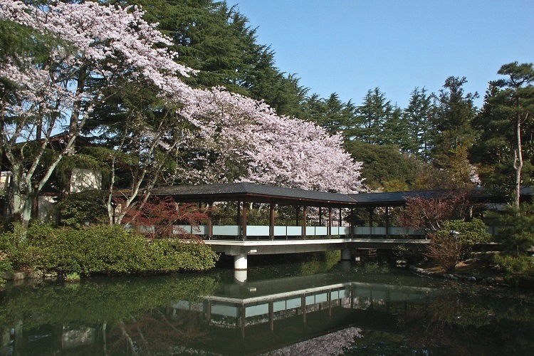 日本庭園の春の様子