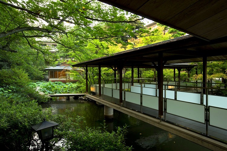日本庭園の様子