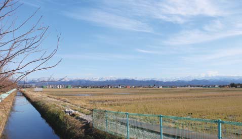 中ノ江町の様子