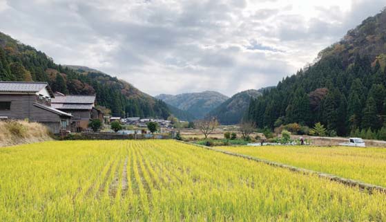 鍋谷町の様子