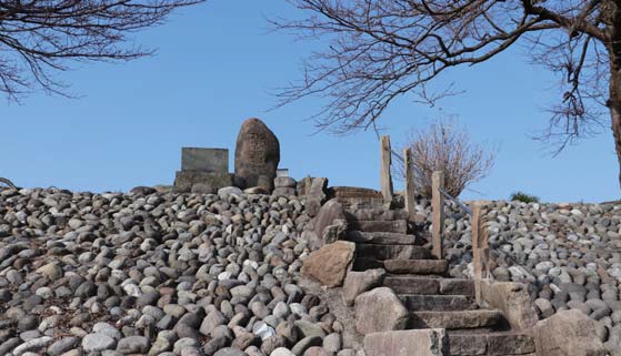 山田町の様子