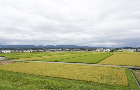 上出長右衛門窯から望める田園風景