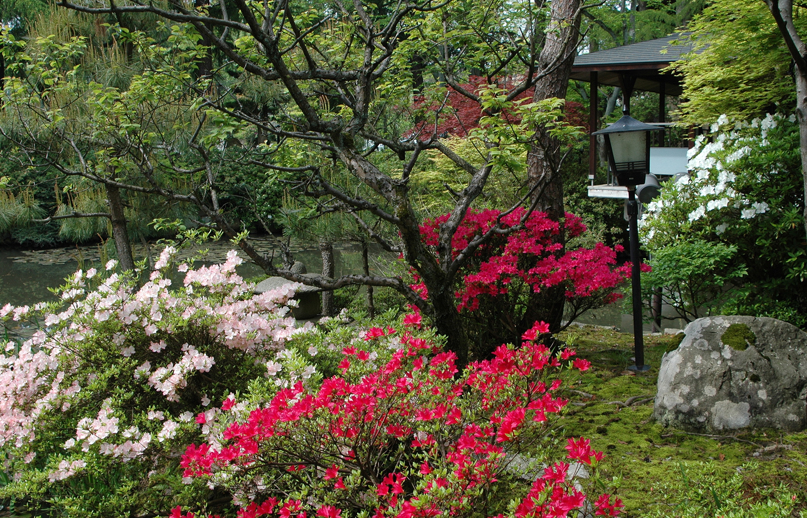 the 5,000 square meter Shosen-ko Garden(02)