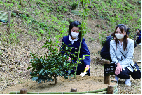 記念植樹