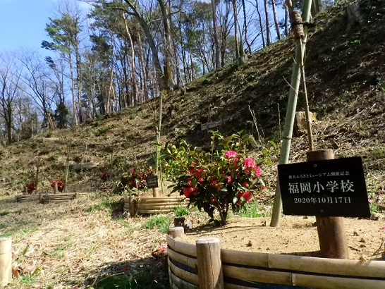 和田山の椿写真