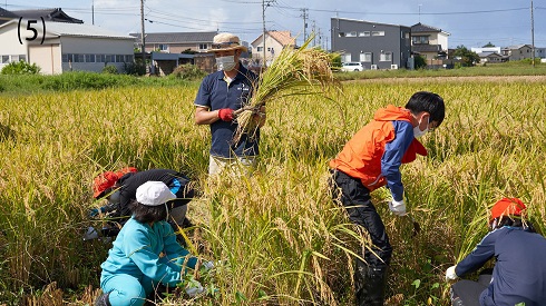 次世代へ農業をつなぎたいという思いから、20年以上続けている小学生の体験教室。春に自分たちで植えた稲を秋に収穫する。