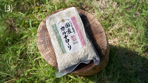 たけもと農場で栽培した国産バレンシア米（セニアという短粒種のお米で主にスペイン東部で栽培。パエリアなどに使用）