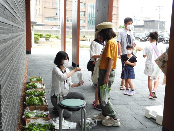 ノハナショウブプレゼント