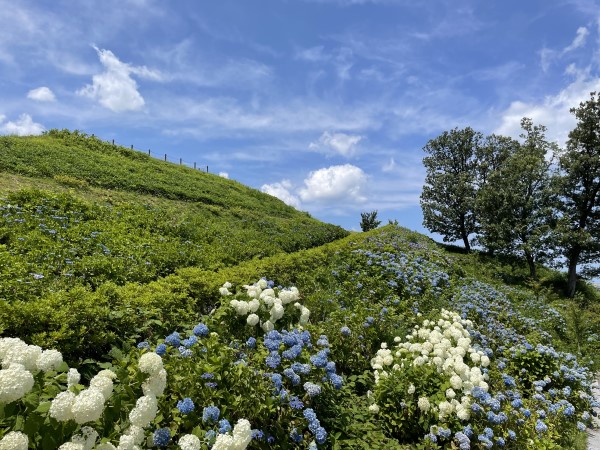 秋常山園路