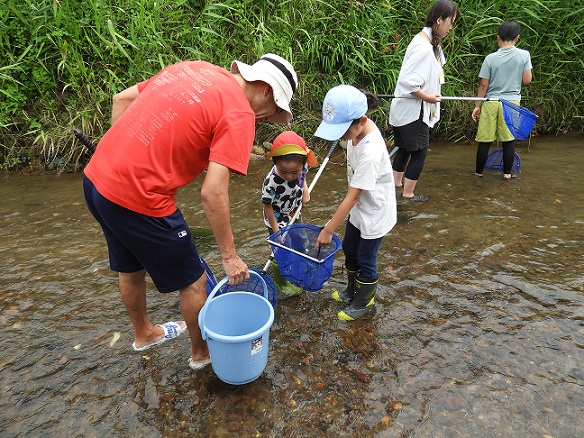 R7水生観察1