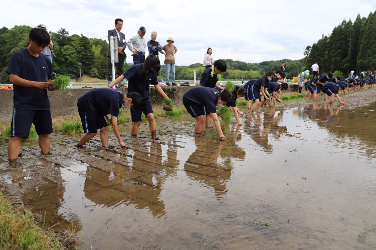 修学旅行農業体験